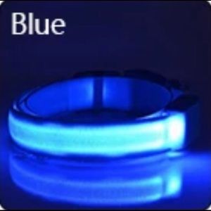 The Taking Caution Collar- Blue